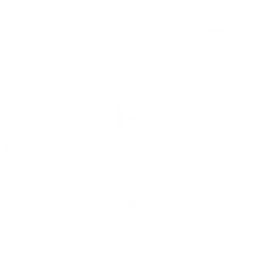 company-vision